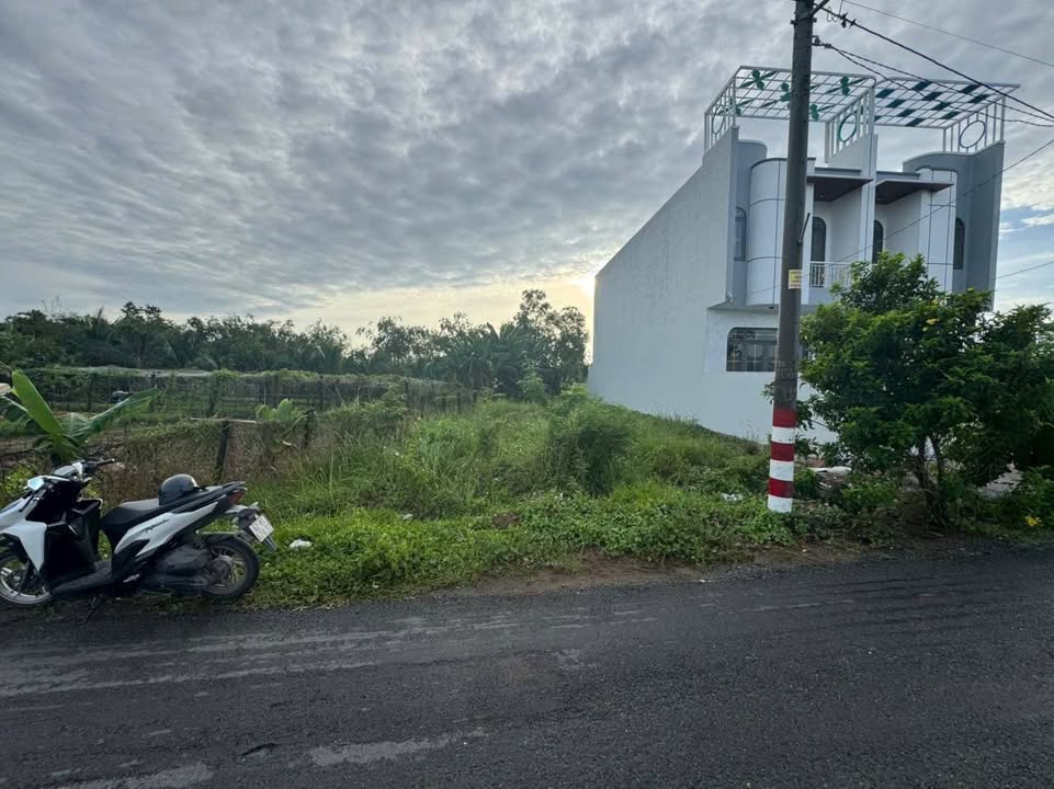 Đất nền Cần Giuộc 250m² giá 1.75 tỷ - Mặt tiền đường nhựa Huỳnh Thị Luông!