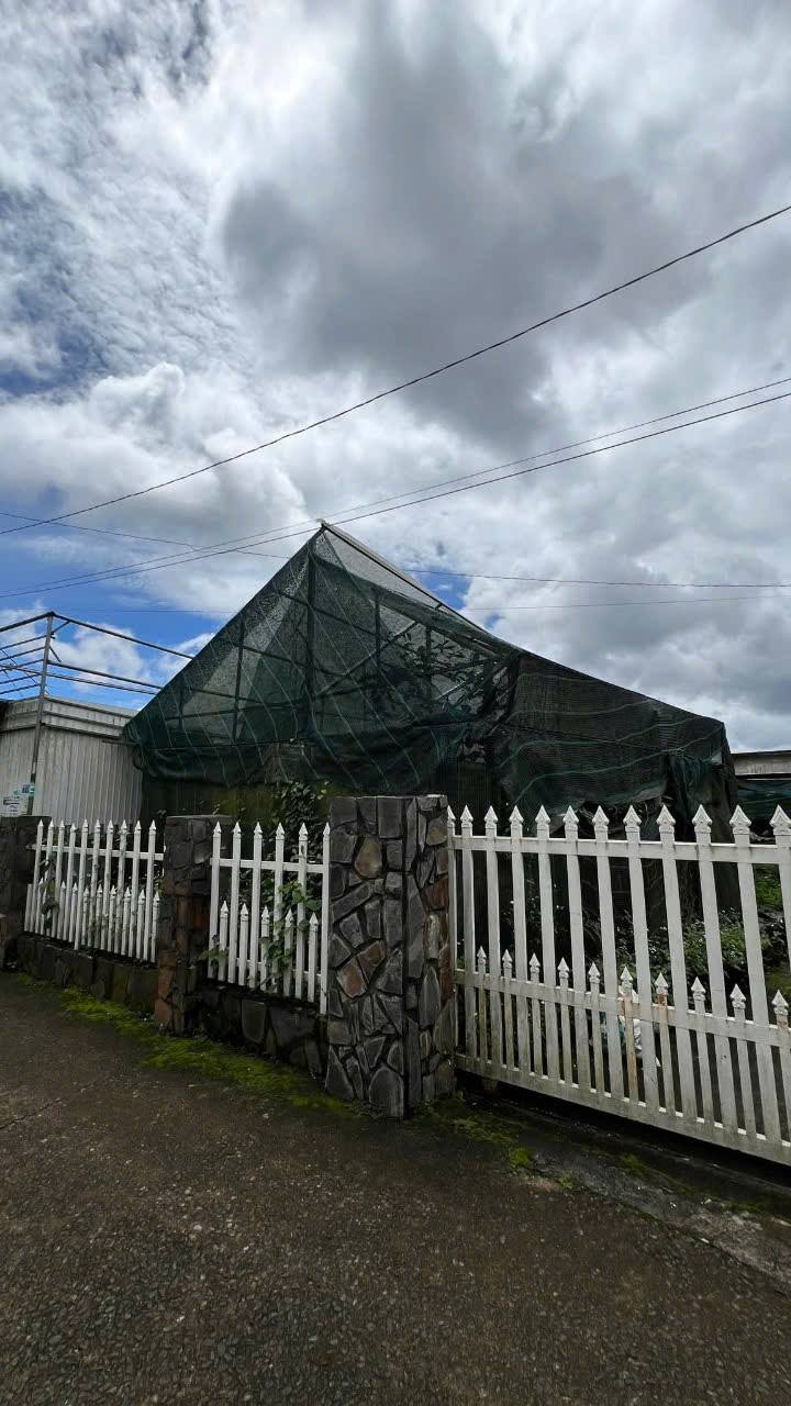 Đất thổ cư Lộc Phát, Bảo Lộc 190m² giá 3-6 tỷ - Cơ hội đầu tư tuyệt vời!