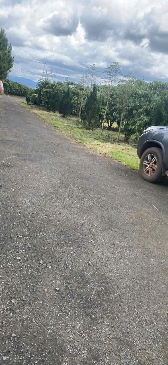 Đất thổ cư 1050m² tại đường 21, Lộc Ngãi - Giá chỉ 810 triệu