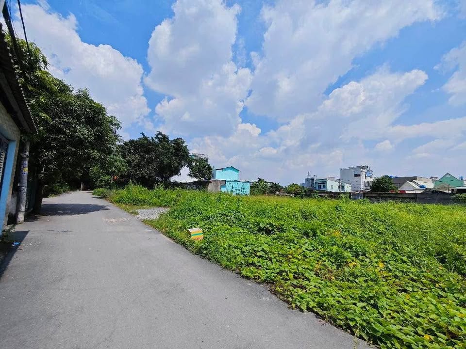 Đất thổ cư Thạnh Lộc 41, Quận 12, 2000m² giá 90 tỷ - Tách làm 9 sổ đỏ chính chủ!