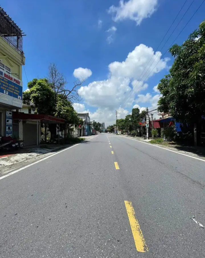 Đất mặt đường 208, An Đồng, An Dương 1000m² - Kinh doanh sầm uất, giá hợp lý!