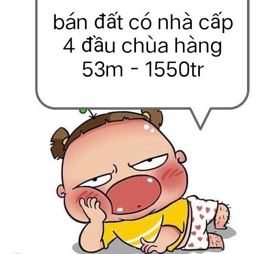 Đất nền Hồ Nam Hải Phòng 53m² giá 1.55 tỷ - Bán gấp tặng nhà cấp 4!