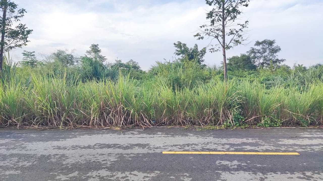 Đất nền KĐT Đại Cương, 100m² hướng Nam - Sổ đỏ chính chủ, giá thỏa thuận!