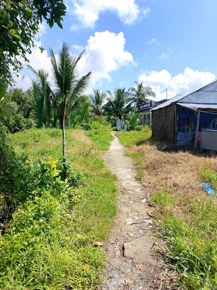 Đất Farm 2 mặt tiền xã Phong Thạnh Tây B 10,854m² giá 922.59 triệu - Sổ đỏ chính chủ!