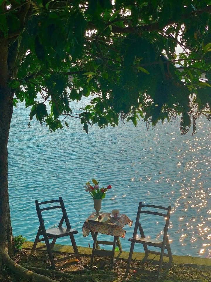 Nhà CHDV Hoàng Hoa Thám 90m² giá 340 triệu - Sang nhượng với nội thất đầy đủ!