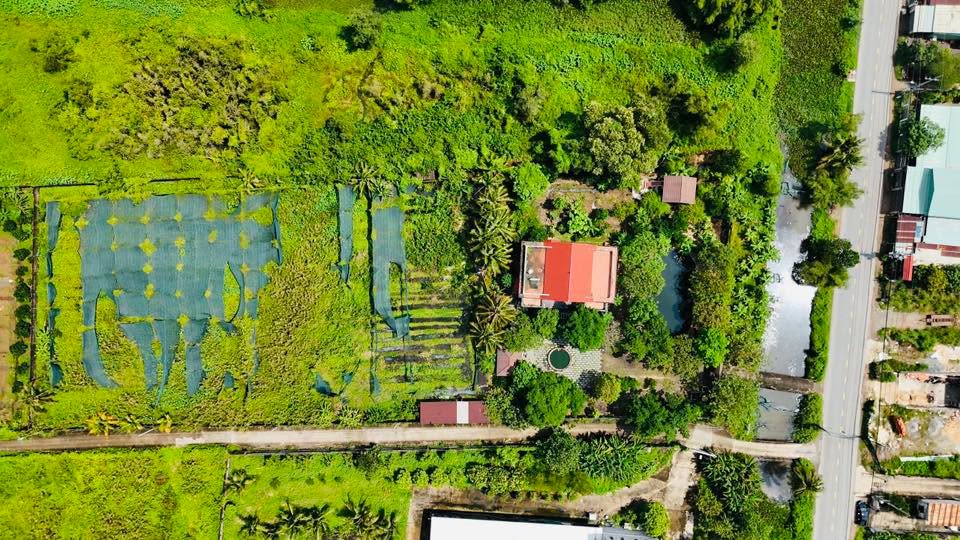 Biệt thự vườn Bình Mỹ Củ Chi 6610m² - Vị trí đắc địa, thổ cư 400m²