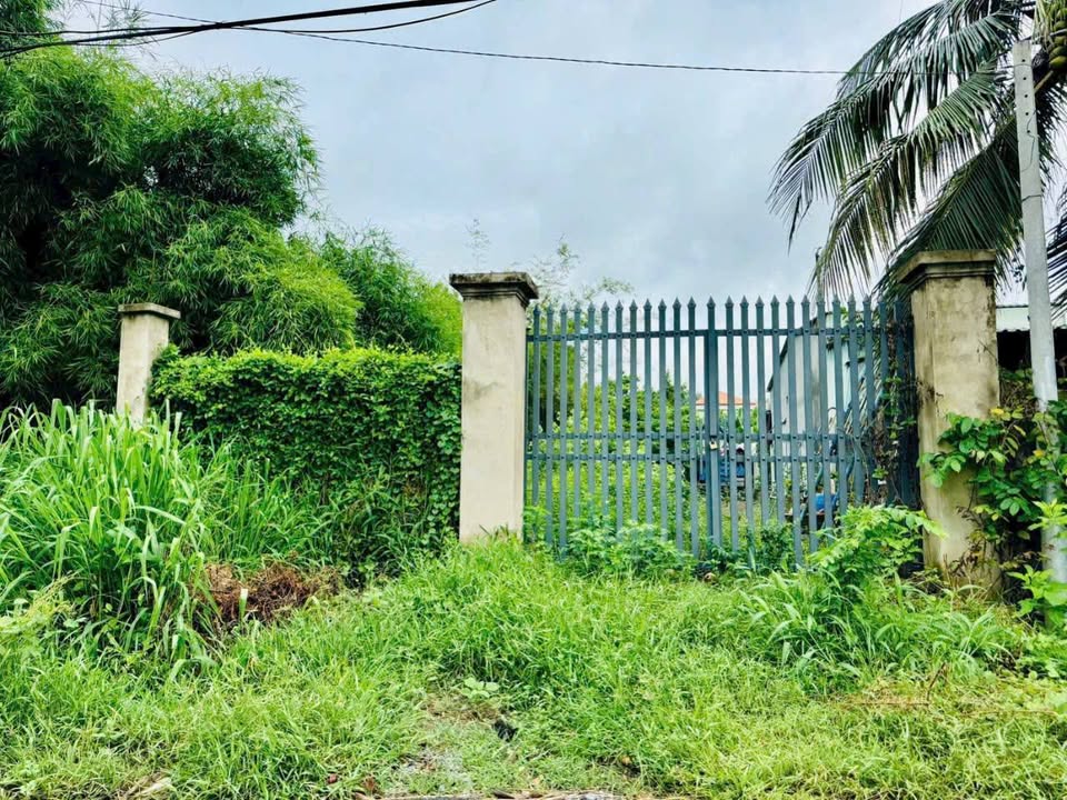 Đất nền Phước Vĩnh An, Củ Chi 208m² giá 3.3 tỷ - Đầu tư sinh lời ngay!