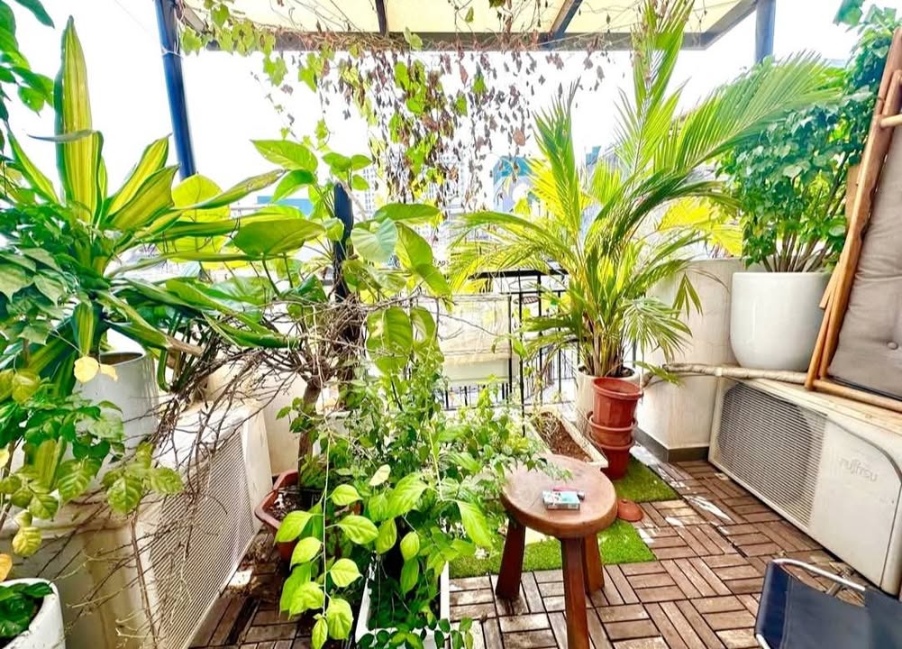 Căn hộ tập thể Cát Linh Đống Đa 85m² giá 5 tỷ - Nhà đẹp, ở ngay!