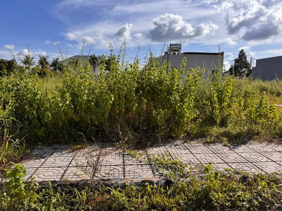 Đất thổ cư 119m² Hương Lộ 2, Hoà Long 1.99 tỷ - Chính chủ bán gấp!