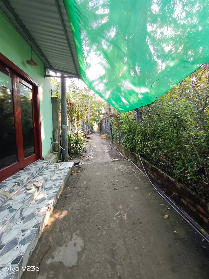 Đất nền liền kề Khu phố 3, Phường 9 - 100m² giá 600 triệu - Đầu tư sinh lời ngay!