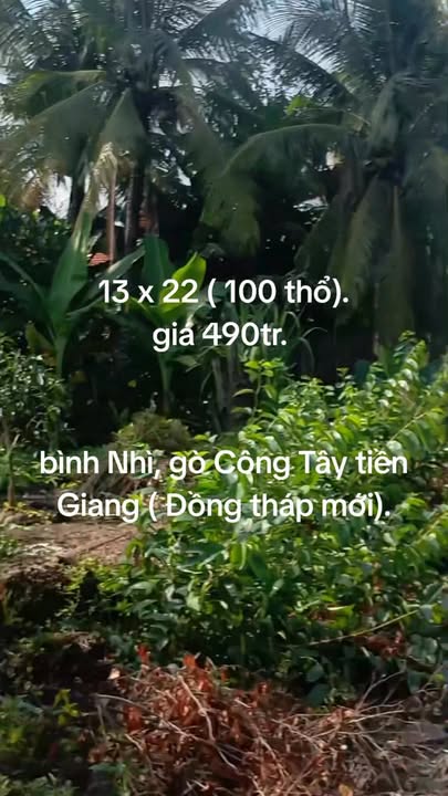 Đất thổ cư Gò Công Tây 286m² chỉ 490 triệu - Khu dân cư sầm uất!