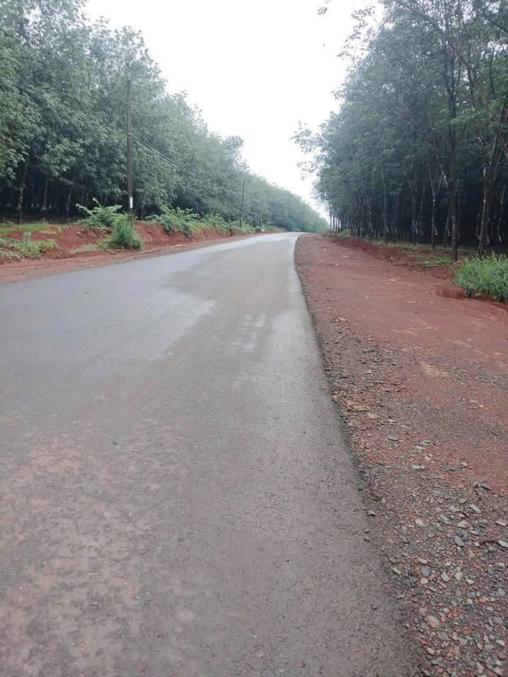 Đất nông nghiệp Đồng Xoài 1,2ha giá 2,2 tỷ - Đường nhựa liên xã thuận lợi!