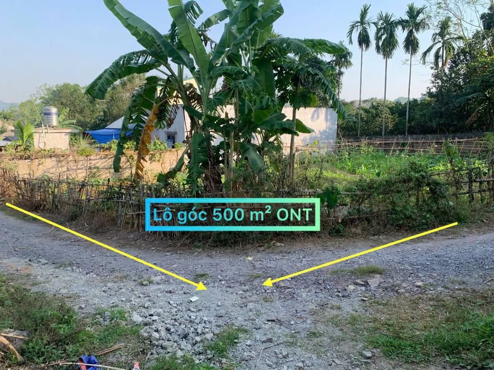 Đất thổ cư 500m² xã Thanh Cao, Lương Sơn - Giá chỉ 2 tỷ, đầu tư sinh lời!