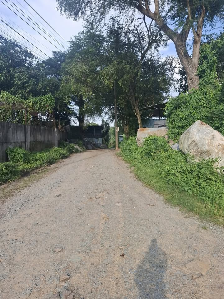 Phòng trọ cho thuê tại hẻm 60 Tân Phong, Biên Hòa - Giá chỉ 700.000 VNĐ/tháng!