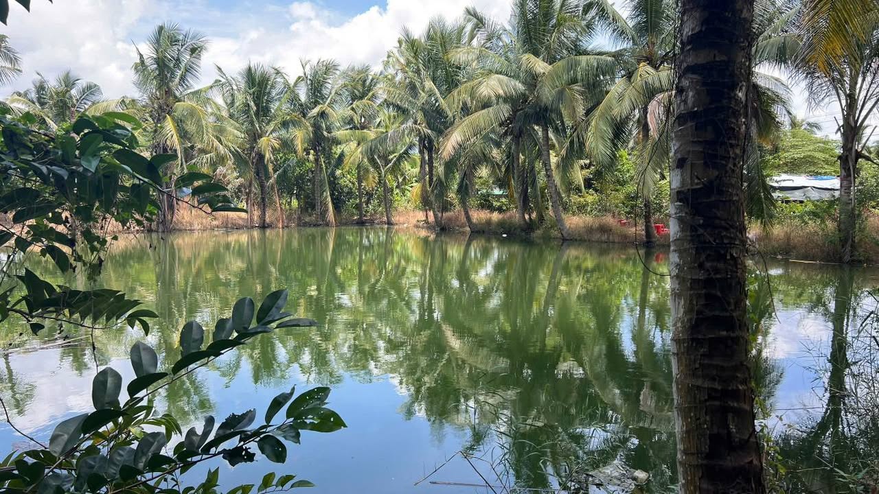 Farm Trà Cổ, Tân Phú 6349m² giá 4.2 tỷ - Sở hữu ngay vườn và ao nước ngầm!