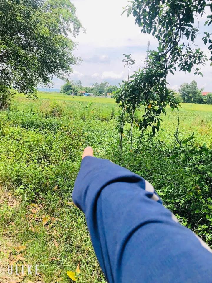 Đất đấu giá Hưng Đạo 200m² giá thỏa thuận - Đầu tư tiềm năng gần KCN VSIP!