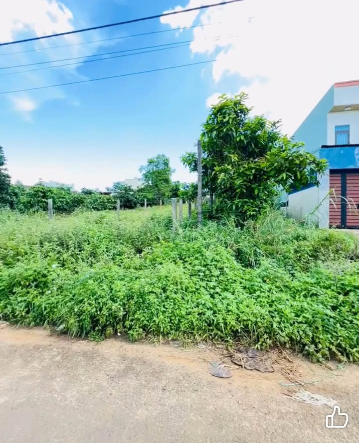 Đất mặt tiền Nguyễn Siêu, Pleiku 207m² giá 1.2 tỷ - Cơ hội đầu tư hấp dẫn!