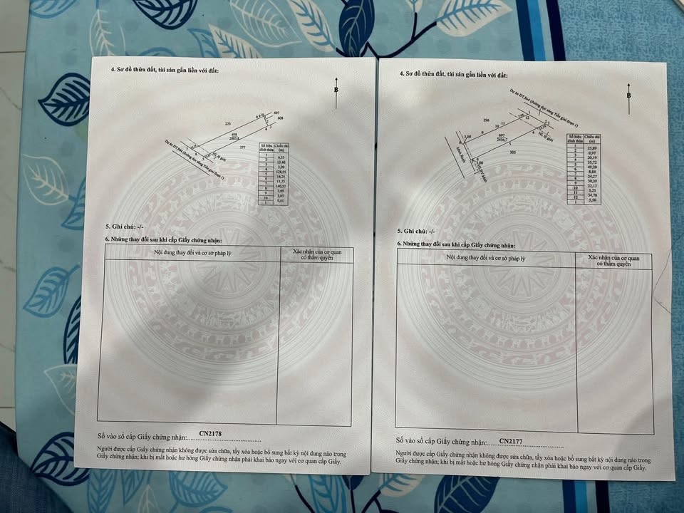 Đất nền ĐT 864 Gò Công 5340m² giá 5.34 tỷ - Đầu tư sinh lời hấp dẫn!