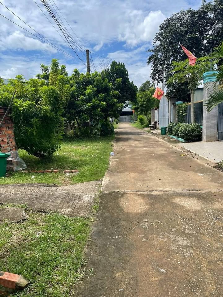 Đất thổ cư 160m² tại Đồng Phú - Giá chỉ 500 triệu - Đầu tư sinh lời ngay!