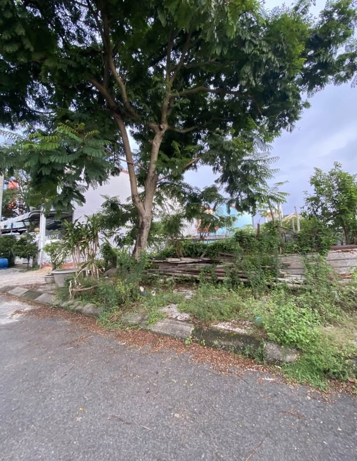 Lô đất 82.5m² mặt tiền Trần Văn Giảng, Đà Nẵng - Giá chỉ 4.35 tỷ!