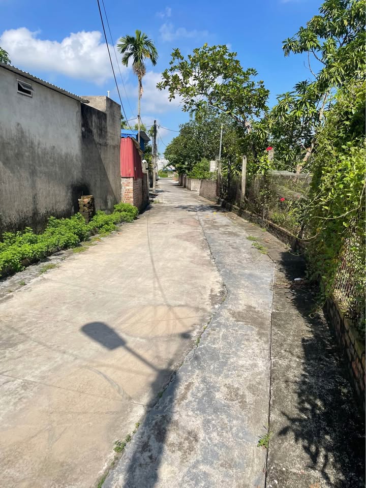 Đất nền Quốc Tuấn An Dương 50m² chỉ 500 triệu - Cơ hội đầu tư hiếm có!