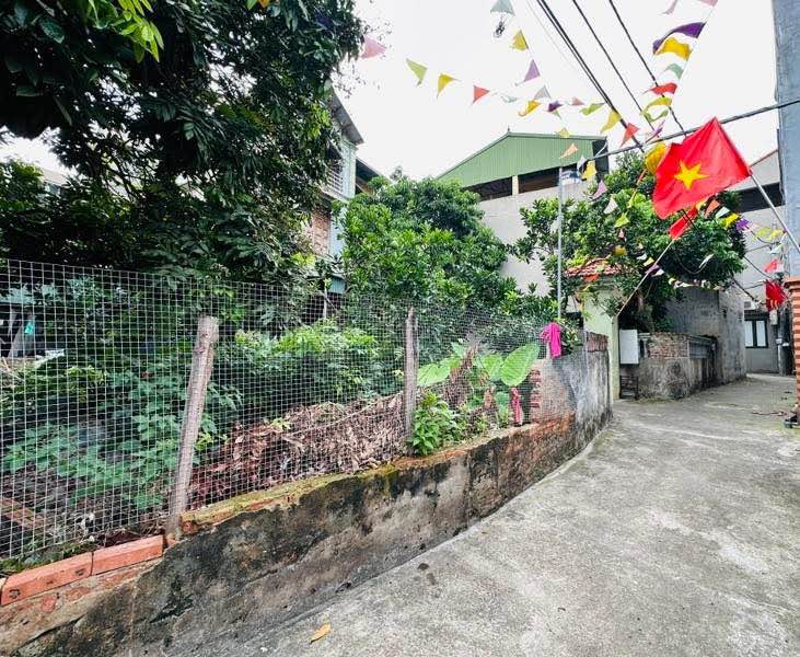 Đất Cổ Bi 37m² giá 3.15 tỷ - Sổ đỏ chính chủ, ô tô tránh thoải mái!