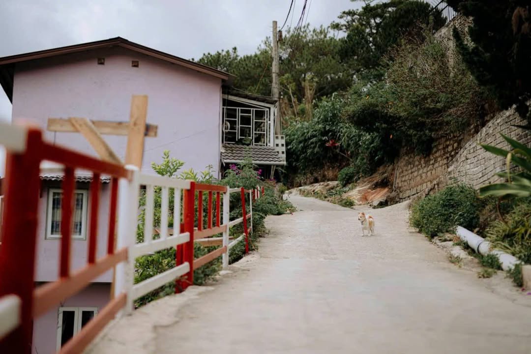 Homestay Khởi Nghĩa Bắc Sơn Đà Lạt 6 phòng - Săn mây tuyệt đẹp!