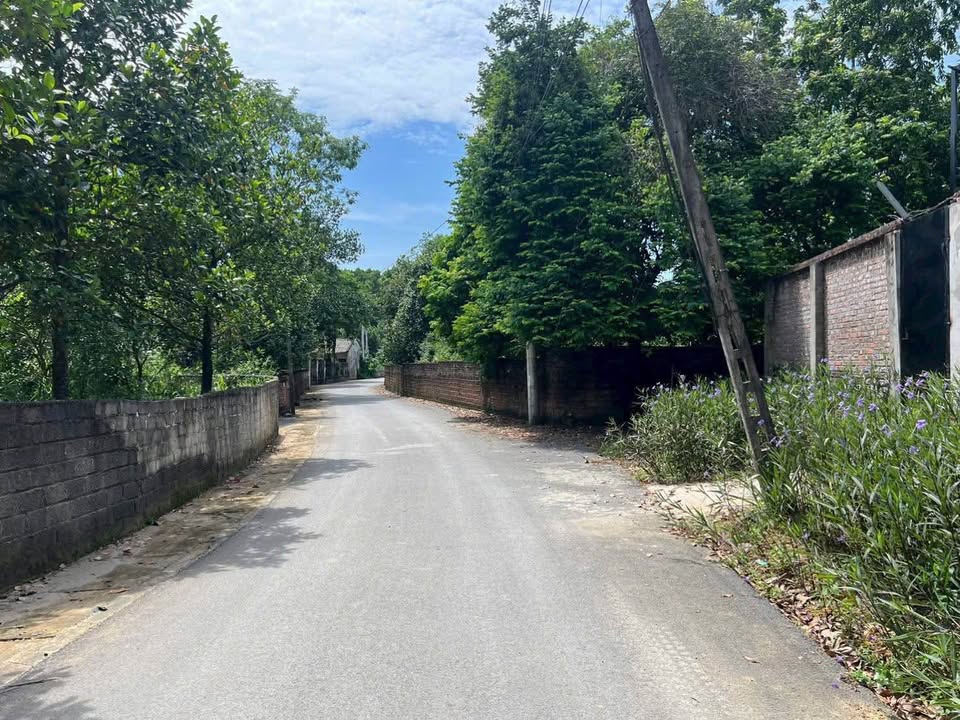 Đất nền Cổ Đông Sơn Tây 124m² giá 3.72 tỷ - Sổ đỏ chính chủ!