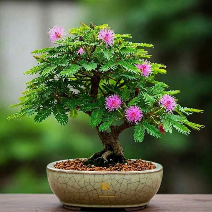 Bán nhà FrontHouse 190m² đường Tân Hòa Đông, quận Bình Tân - Giá chỉ 13.5 tỷ VND!