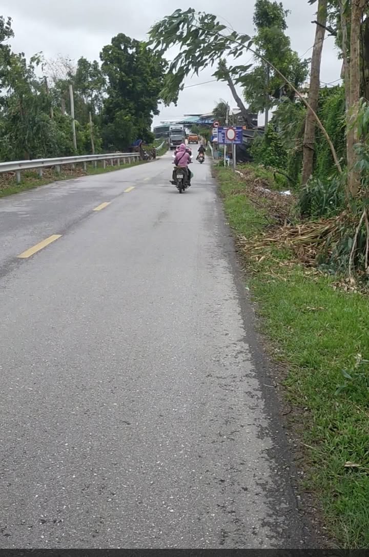 Đất mặt đường Phạm Trấn, Gia Lộc 100m² giá 2 tỷ - Cơ hội đầu tư tuyệt vời!