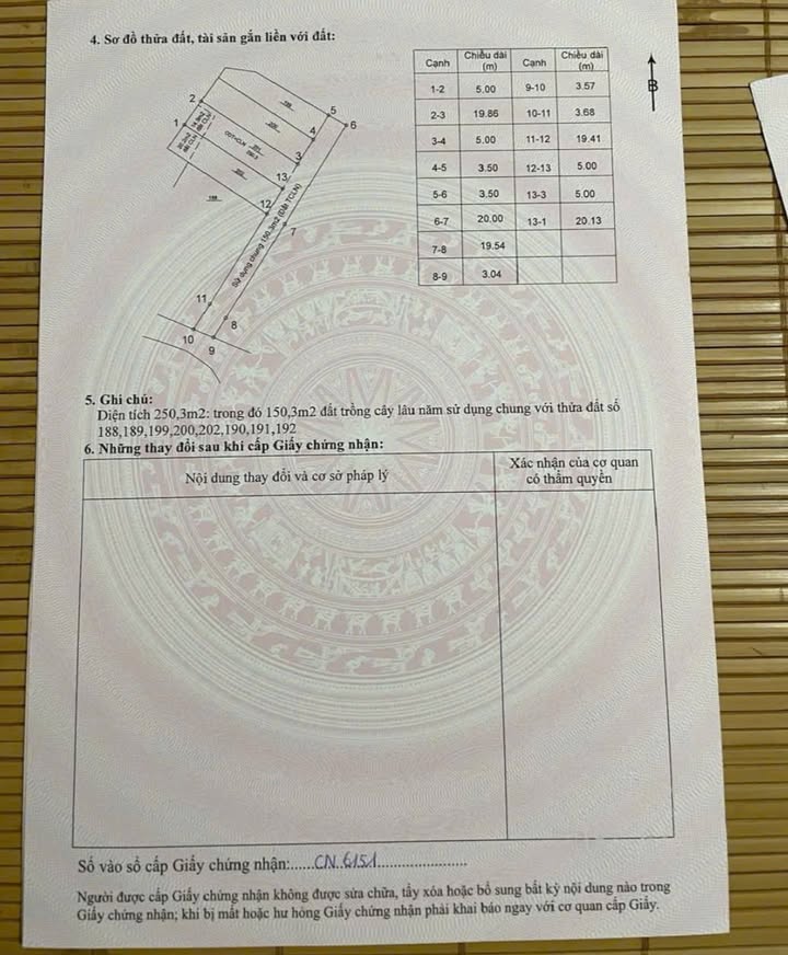 Đất nền Liên Bảo Vĩnh Yên 100m² giá 1.5 tỷ - Vị trí đắc địa, đầu tư sinh lời!