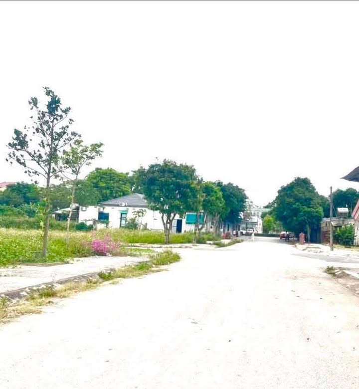 Lô Đất Góc Khối 5 Phường Nghi Hương - 164,9m² giá 3 tỷ - Đầu tư sinh lời hấp dẫn!