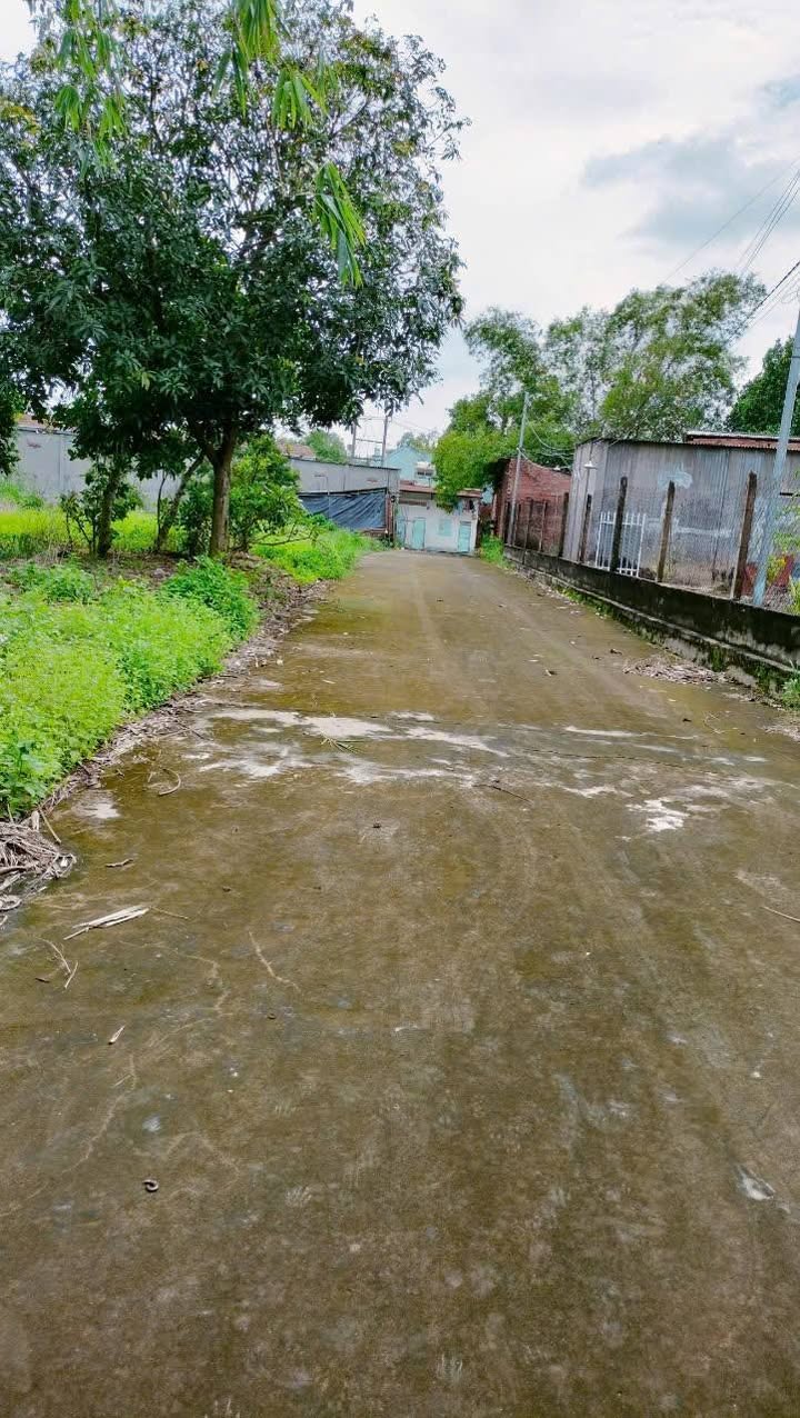 Đất nền 1 sào 4 sổ riêng tại Tam Phước, Biên Hòa - Giá chỉ 3.5 tỷ VND!