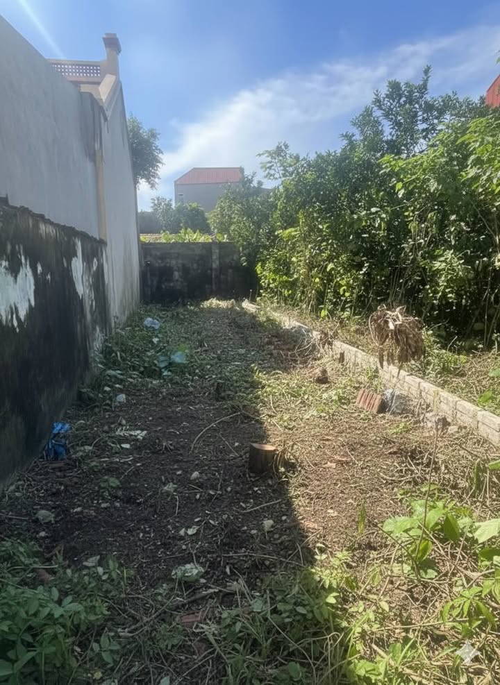 Đất nền Nhị Khê Thường Tín 55m² giá 3 tỷ - Đầu tư sinh lời ngay!