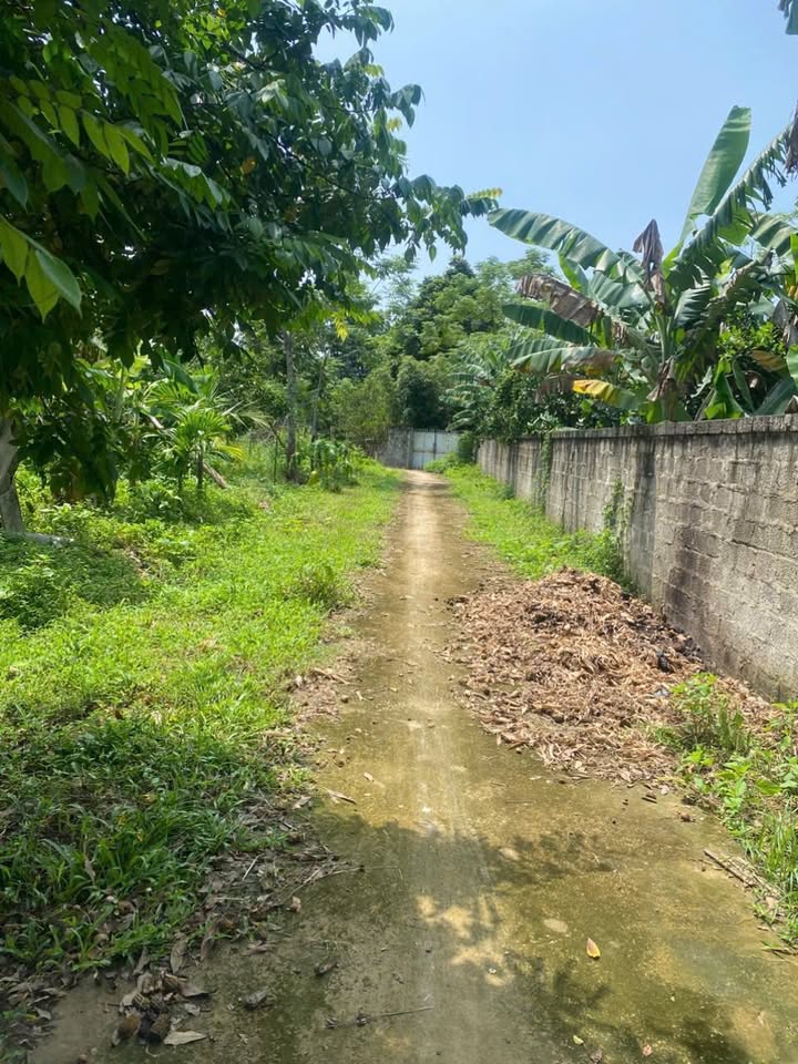 Đất thổ cư Yên Trị, Hòa Bình 210m² giá chỉ 400 triệu - Cơ hội đầu tư tuyệt vời!