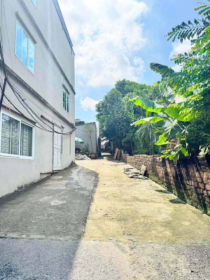 Đất nền 56m² mặt tiền 7m đường Nguyễn Du, Việt Trì - Đầu phố ẩm thực, giá chỉ 2 tỷ!