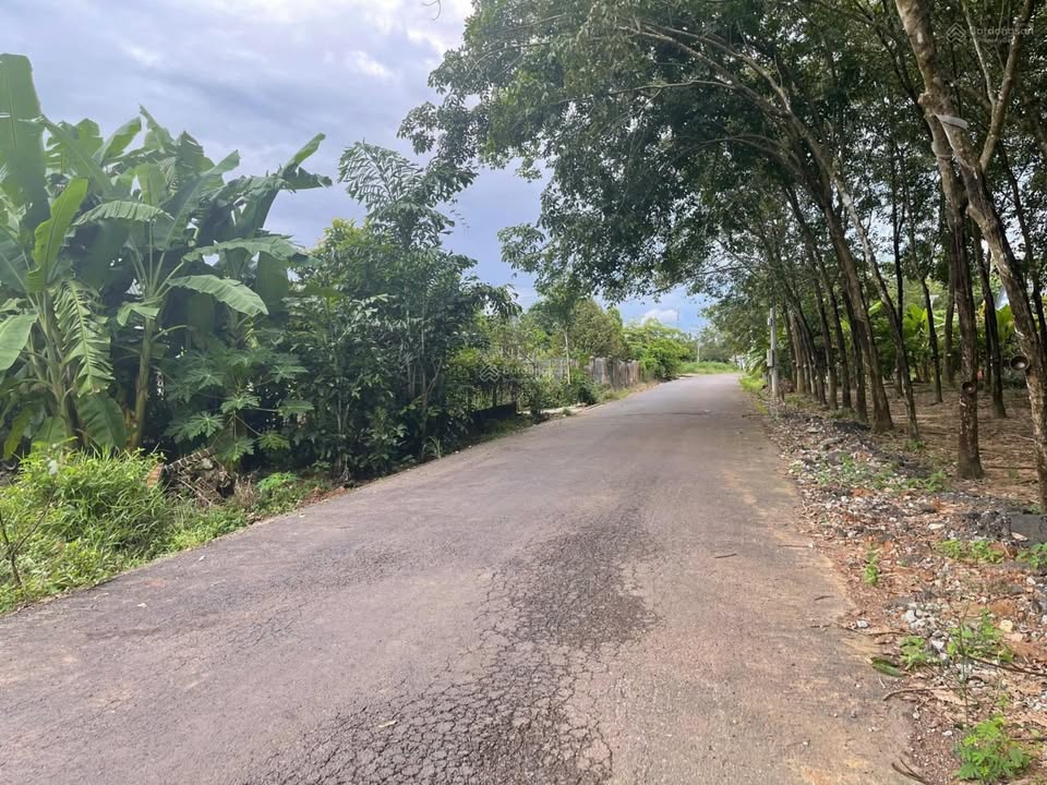 Đất Phước Thành 200m² giá 820 triệu - Mặt tiền đường nhựa, đầu tư sinh lời!