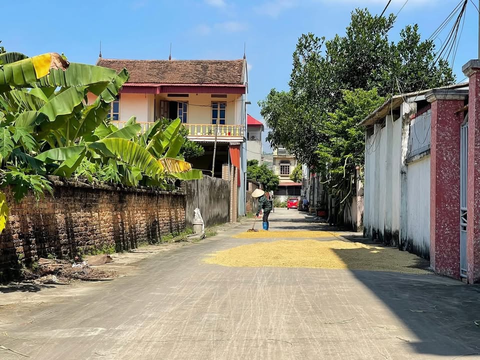 Đất nền Ninh Sơn, Việt Yên 200m² giá chỉ 2xx triệu - Đầu tư sinh lời ngay!