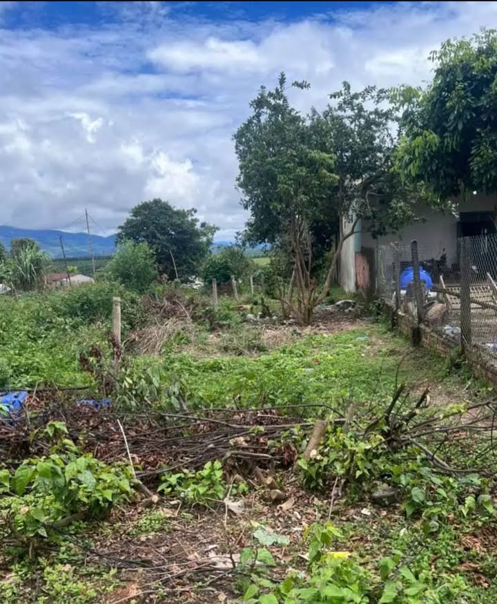 Đất Diên Bình, Đăk Tô 245m² chỉ 550 triệu - Cơ hội vàng đầu tư!