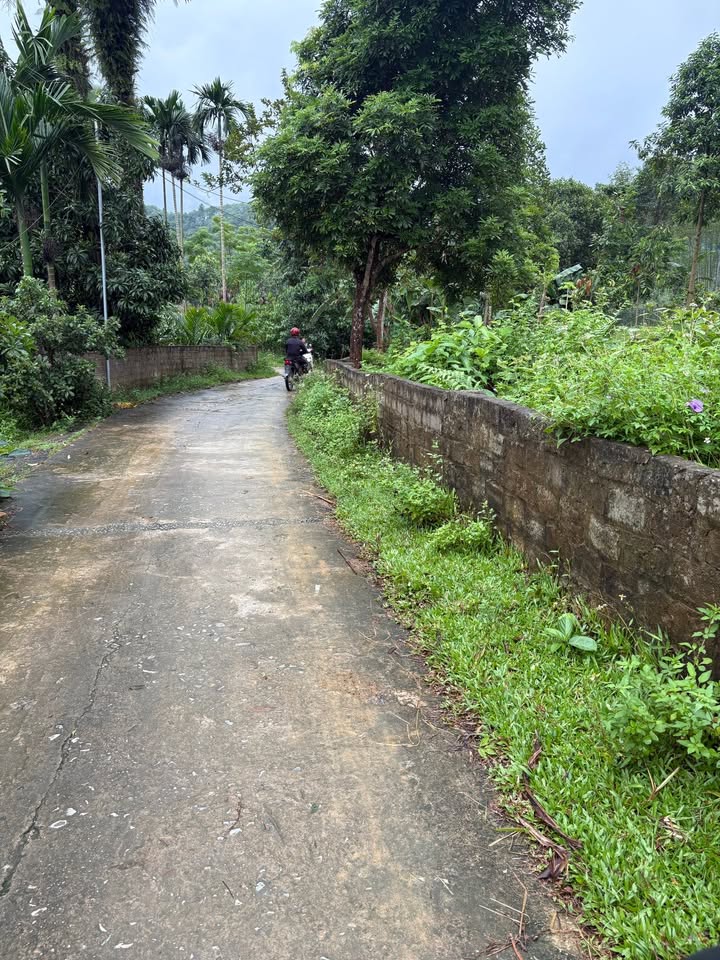 Bán đất nền Võ Lao 1300m² - Pháp lý rõ ràng, view cánh đồng tuyệt đẹp!