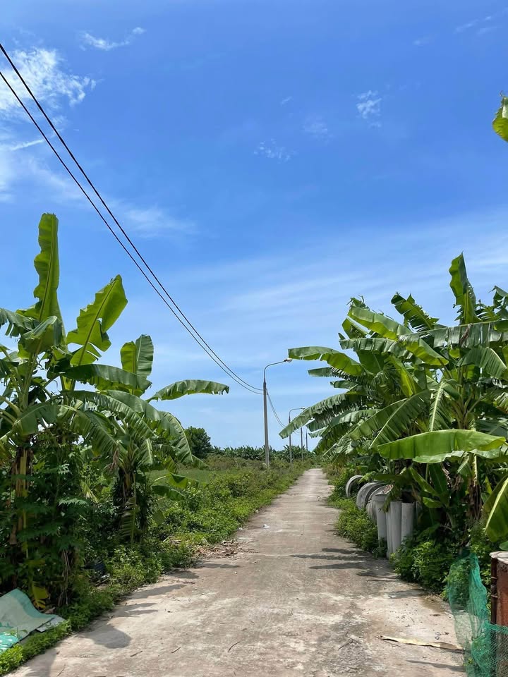 Đất thổ cư Thôn 6 Liên Hòa 117m² - Gần KCN và cảng biển