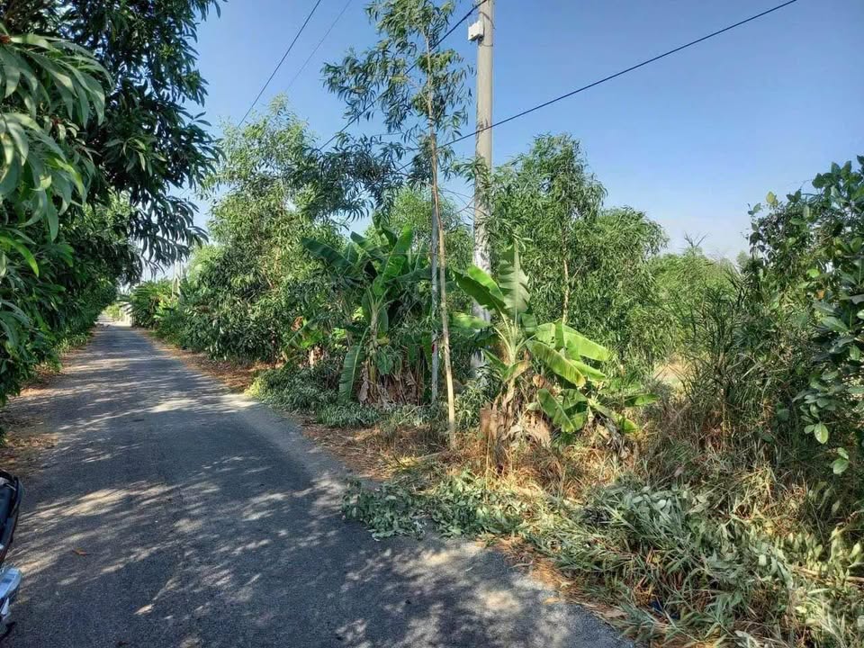 Đất mặt tiền Kênh 1, Hòa Điền, Kiên Lương 2430m² giá 2.7 tỷ - Đường nhựa rộng rãi, thuận tiện di chuyển!