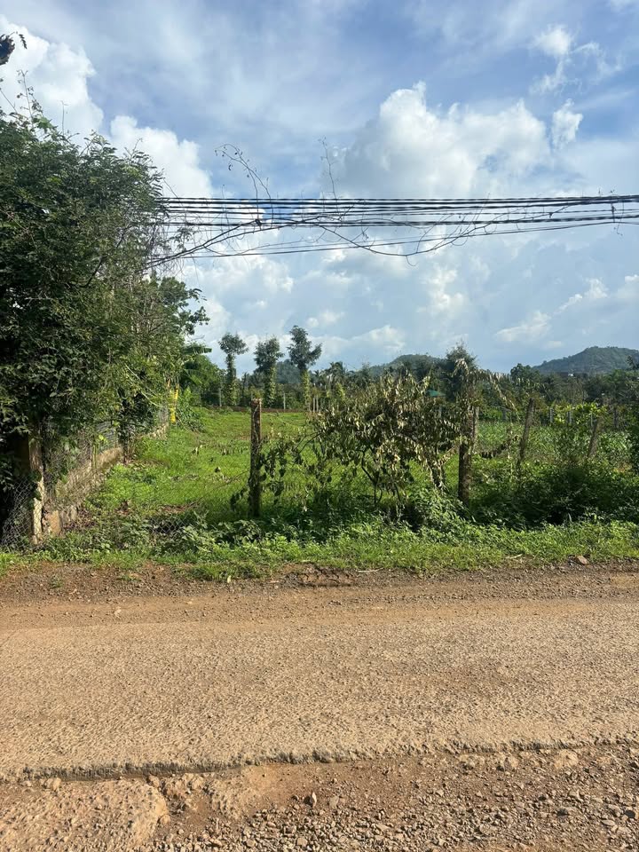 Đất thổ cư 500m² Cư Êbur - Giá chỉ 1.55 tỷ - Tiềm năng phát triển cao!