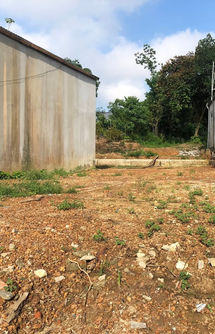 Đất thổ cư Thanh Vỵ 202m² giá 2.2 tỷ - Nở hậu tài lộc, đường ô tô