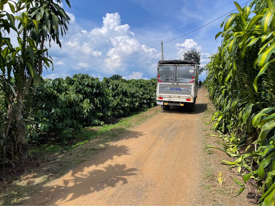 Đất nền Lộc An 1049m² giá 1.6 tỷ - Sẵn 200m² thổ cư, gần suối