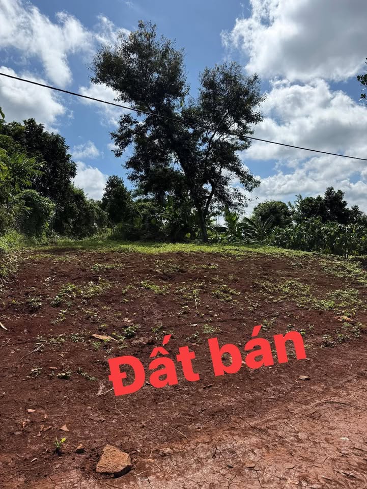 Đất nền 240m² đường Đinh Núp, phường An Lạc - Giá chỉ 999 triệu VND, thương lượng tốt!