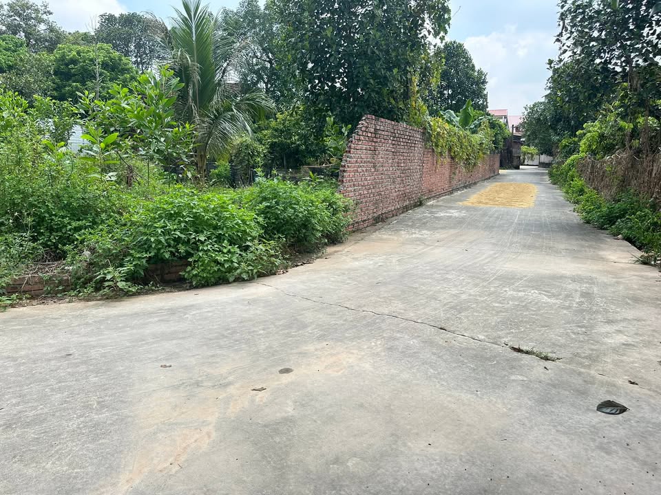 Đất nền Đại Hóa Tân Yên 112m² giá 600 triệu - Nở hậu, mặt tiền rộng!