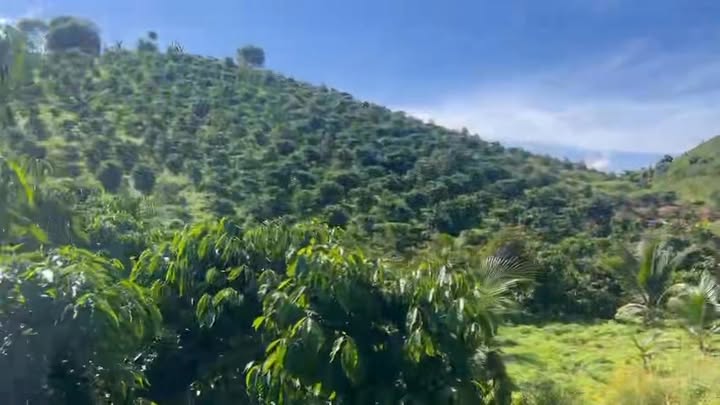 Đất nông nghiệp 3.8ha tại Nam Ka, Đắk Lắk - Giá chỉ 3 tỷ, cơ hội đầu tư tuyệt vời!