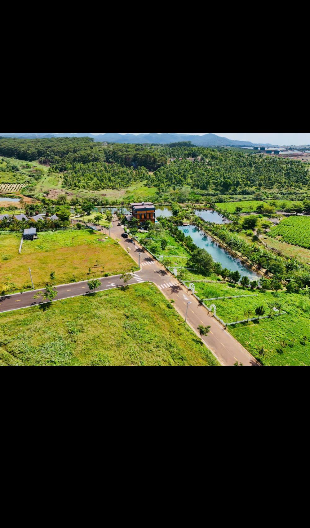 Đất nghỉ dưỡng Lộc Tân, TP Bảo Lộc 150m² giá 900 triệu - Thiên đường sống giữa núi rừng!