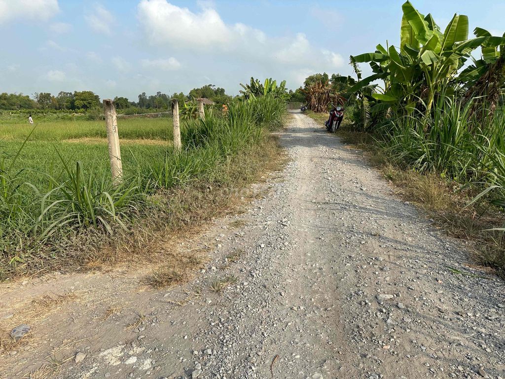 Đất 3 mặt tiền ngay cảng Bình Hiệp - 1232m² giá 900 triệu - Tiềm năng phát triển vượt trội!